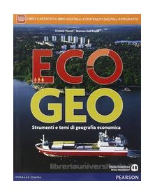 ecogeo-ite-didastore-x-bn