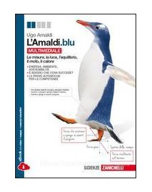 lamaldi-blu--multimediale