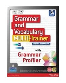 grammar-and-vocabulary-multi-trainerite