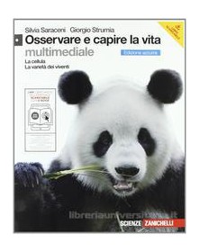 osservare-e-capire-vita-azzurra-celleb
