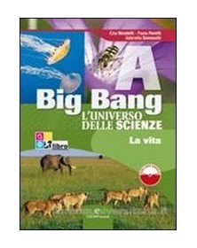 big-bang-abcd-libri-digitali