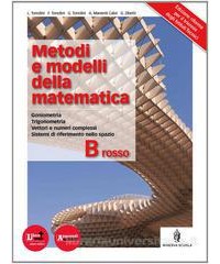 metodi-e-modelli-della-matematica-b-ross