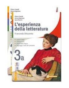 esperienza-della-letteratura-3a3bstud3