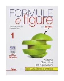 formule-e-figure-1-x-bn-lic