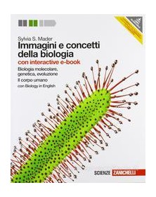 immagini-e-concetti-biologia-moleccorp