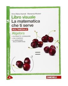 matematica-che-ti-serve--algebra-geom3