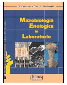 microbiologia-enologica-in-laboratorio