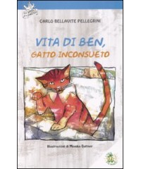 vita-di-ben-gatto-inconsueto