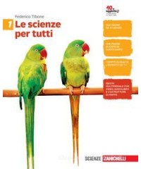 STORIA 1  1350 1650 X TR
