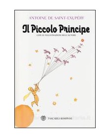 IL PICCOLO PRINCIPE