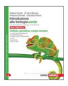 CURTIS   INT.BIO VERD CEL+CORP 2E LDM